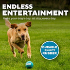 Outward Hound Squeaker Ballz – Squeaky Tennis Balls - Image 4