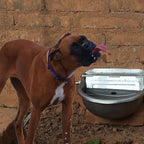 Automatic Dog Water Bowl Dispenser Large Size Pet Waterer Feeder - Image 7