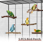 Bird Perches, Bird Perch Chewing Stick Cage Accessories Parrot Climbing - Image 7