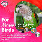 Super Bird Creations - Image 3