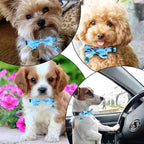 2 Pack Kitten Collar with Bell Breakaway Cat Collars with Removable Bow Tie - Image 6