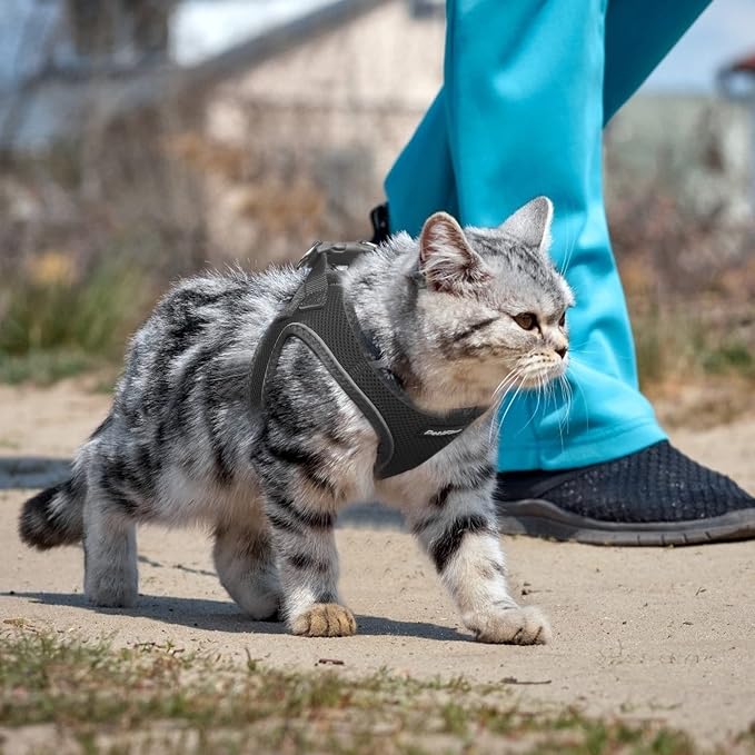 PetiFine Extra Small Step in Dog Harness and Leash Set, Cat Harness and Leash - Image 7