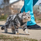 PetiFine Cat Harness and Leash Set, Escape Proof Kitten Harness Reflective - Image 7