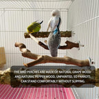 5PCS Bird Perch Stand Natural Wooden Parrot Stand Branch, 3 Grape Wood Perch - Image 4