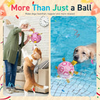 QDAN Dog Birthday Toys, Squeaky Dogs Toys, Dog Soccer Ball - Image 6