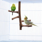 Bird Perch Stand Toy, Natural Grapevine Wood Parrot Perch Bird Cage Branch - Image 5