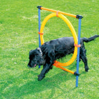 PAWISE Dog Agility Training Equipment, Puppy Agility Kit - Image 2