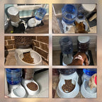 Automatic Dog Feeders, 3 Gallon Capacity Gravity Food Dispenser - Image 7
