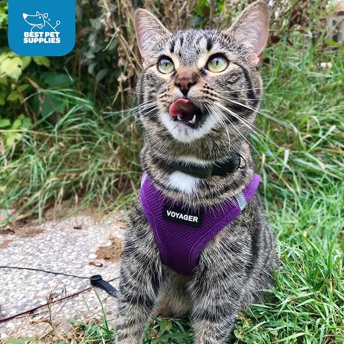 Best Pet Supplies Voyager Step-in Air Harness - Image 9