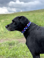 Native Pup American Flag Dog Collar- Red White and Blue- Patriotic Collars - Image 6