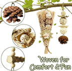 5-Pack Natural Flower Bird Toys – Foraging & Chewing Toys - Image 3