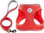 Hipubby Dog Harness and Leash Set, No Pull Soft Mesh Puppy Harness by Hipubby