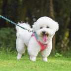 AIITLE Easy Walk Dog Harness and Leash Set - Image 8