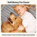 Veehoo Orthopedic Dog Bed for Large Senior Dogs, 7 Inch Thick XL Memory Foam - Image 5