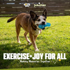 Gnawsome Dog Toys - Image 8