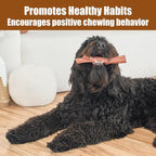 SPOT Bam-Bones Plus Branch -Bamboo Fiber & Nylon, Durable Long Lasting Dog Chew - Image 9