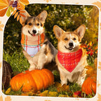 Sweetude 60 Pcs Fall Dog Bandanas Bulk Plaid Bandanas - Image 7