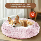 JOLLYVOGUE Calming Dog Bed for Small Dogs - Image 4