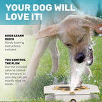 Scuddles Dog Sprinkler, Paw Activated Water Fountain, Outdoor Dog Water - Image 3