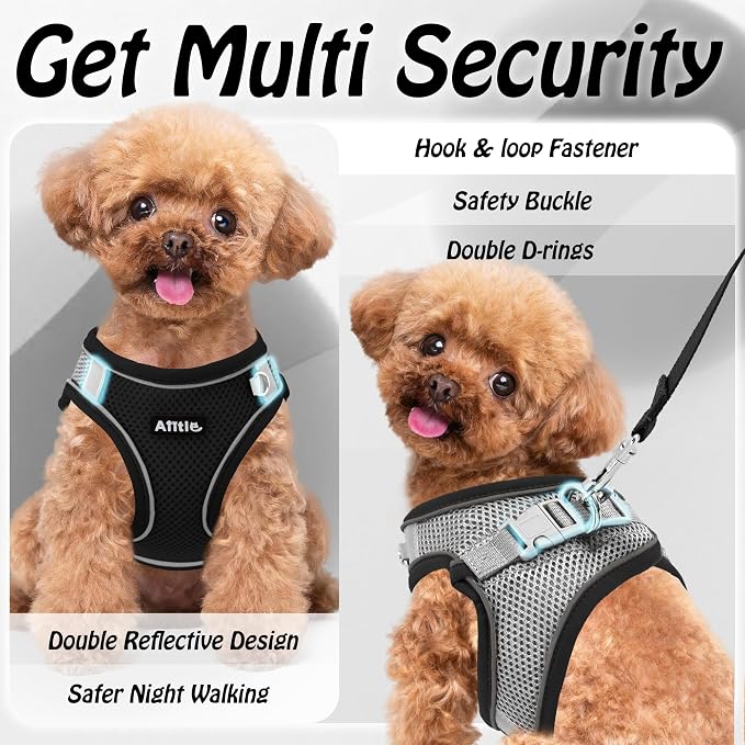 AIITLE Step in Dog Harness and Leash Set - Image 9