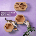 Modern Hexagonal Cat Wall Shelf System, 6-Piece Wood Wall Mounted Cat Furniture - Image 5