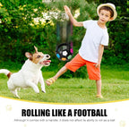Dog Toy Ball with Handle, Toss and Fetch Play, Interactive Ball - Image 3
