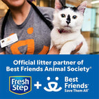 Fresh Step Clumping Litter - Image 10