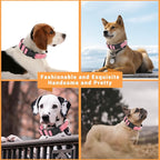 2 Pack Reflective Dog Collar - Image 5