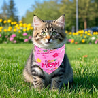 30 Pack Mothers Day Dog Bandanas Bulk - Image 5