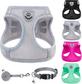 PUPTECK Adjustable Dog Harness Collar and Leash Set Step in No Pull Pet Harness by PUPTECK