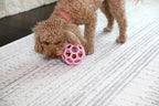 JW Pet HOL-ee Roller™, Dog Toy Puzzle Ball, Natural Rubber - Image 4