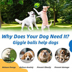 Dog Toys Ball, Interactive Dog Ball, Shaking - Image 6