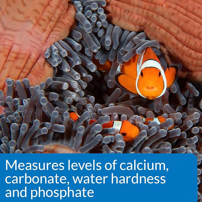 API SALTWATER MASTER TEST KIT 550-Test Saltwater Aquarium Water Test Kit - Image 6