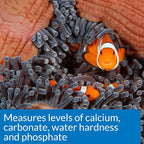 API SALTWATER MASTER TEST KIT 550-Test Saltwater Aquarium Water Test Kit - Image 6