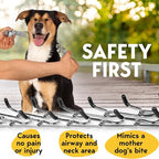PetJett Prong Collar for Dogs - Image 3