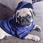 Jecikelon Winter Dog Hoodie Sweatshirts - Image 2