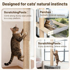 XiaZ Cat Window Perch with Tall Scratching Post, Sleeping & Watching Birds - Image 7