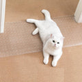 Uross Carpet Protector for Pets by Uross
