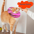 Cat Cone Collar Soft, Adjustable Cat Recovery Collars to Stop Licking, Cute - Image 4