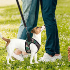 PUPTECK Adjustable Dog Harness Collar and Leash Set Step in No Pull Pet Harness - Image 7