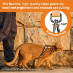 Cat Harness and Leash Set - Image 5