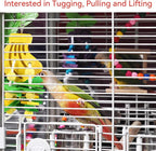 JSLZF Bird Chewing Toy for Parrot Cockatiel Conure Wood Block Cage Hanging - Image 5