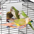 Colorday 7" Bird Mirror with Rope Perch, Bird Swing, Parrot Cage Toys by Colorday
