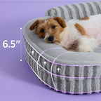 LE SURE Cute Dog Bed Medium Size Dog, Orthopedic Waterproof Medium Pet Beds - Image 2