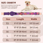 AirTag Dog Collar for Small Medium Large Breed - Image 4
