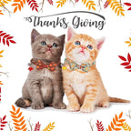 ADOGGYGO 2 Pack Fall Cat Collar - Image 3
