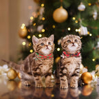 ADOGGYGO Christmas Cat Collars - Image 2