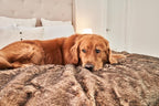 PupProtector Waterproof Throw Blanket - Image 3
