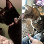 ADOGGYGO Cat Collar Breakaway - Image 2