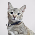 Leather Cat Collar with Buckle and Removable Bell - Image 6